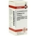 CANTHARIS C 12 Globuli