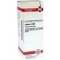 LEDUM C 200 Dilution