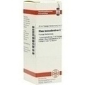 RHUS TOXICODENDRON C 12 Dilution