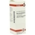 RHUS TOXICODENDRON C 200 Dilution