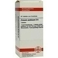 ZINCUM ACETICUM D 6 Tabletten