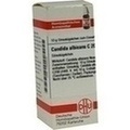 CANDIDA ALBICANS C 200 Globuli