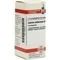 CUPRUM SULFURICUM D 12 Globuli