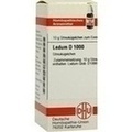 LEDUM D 1000 Globuli