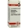 ORTHOSIPHON STAMINEUS D 6 Globuli