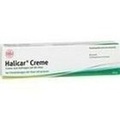 Halicar® Creme