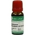 CARBONEUM SULFURATUM LM 18 Dilution