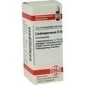 CARDIOSPERMUM D 200 Globuli