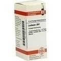 LACHESIS LM I Dilution