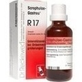 SCROPHULAE-Gastreu R17 Mischung