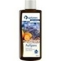 SPITZNER Saunaaufguss Lavendel-Kumquat Wellness