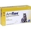 AMFLEE 50 mg Lösung zum Auftropfen f.Katzen