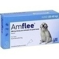 Amflee 268 mg Lösung zum Auftropfen für große Hunde