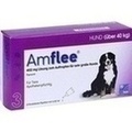 AMFLEE 402 mg Lösung z.Auftropfen f.sehr gr.Hunde