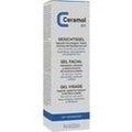 CERAMOL Gesichtsgel 311