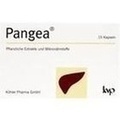 PANGEA Kapseln