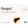 PANGEA Kapseln