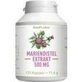 MARIENDISTEL EXTRAKT 500 mg MONO Kapseln