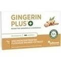 GINGERIN PLUS Kapseln