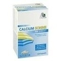 CALCIUM SONNE 500 Kapseln