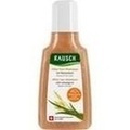 RAUSCH After-Sun-Shampoo mit Weizenkeim