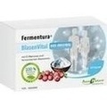 FERMENTURA BlasenVital Kapseln