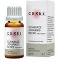 CERES Schwarze Johannisbeere Ribes nigrum Extr.Tro