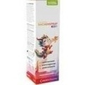 CASA SANA RACHENSPRAY KIDS