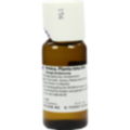 ARNICA PLANTA tota D 6 Dilution