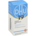 BIOCHEMIE DHU 19 Cuprum arsenicosum D 12 Tabletten