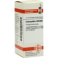COLOCYNTHIS LM XXX Dilution