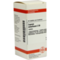 CUPRUM METALLICUM C 30 Tabletten