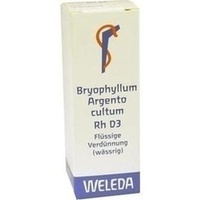 BRYOPHYLLUM ARGENTO cultum Rh D 3 Dilution