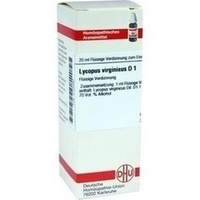 LYCOPUS VIRGINICUS D 1 Dilution