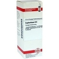 EUPHORBIUM D 6 Dilution