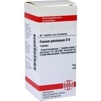 FERRUM PICRINICUM D 6 Tabletten