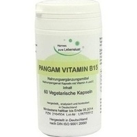 PANGAM Vitamin B15 Kapseln