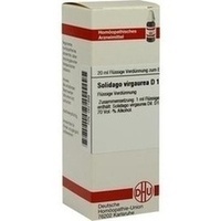 SOLIDAGO VIRGAUREA D 1 Dilution