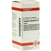 CALADIUM seguinum D 6 Tabletten