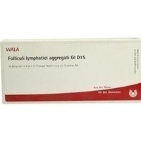 FOLLICULI LYMPHATICI aggregati GL D 15 Ampullen