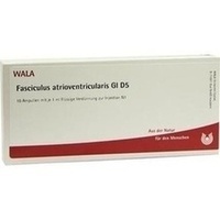 WALA FASCICULUS ATRIOVENTRICULARIS GL D 5 Fiale