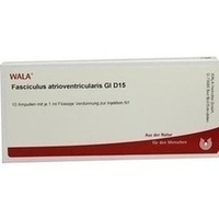 WALA FASCICULUS ATRIOVENTR. GL D 15 Ampoules