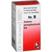 RECKEWEG BIOCHEMIE 5 Kalium phosphoricum D 6 Tablets
