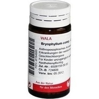 WALA BRYOPHYLLUM COMP. Globules