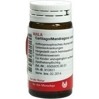 WALA CARTILAGO / MANDRAGORA COMP. Globuli