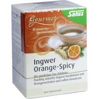 GINGER ORANGE Spicy Tea Salus