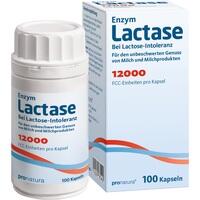 LACTASE 12.000 FCC Kapseln