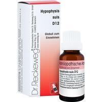 HYPOPHYSIS SUIS D 12 Globuli