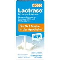 LACTRASE 6.000 FCC Tbl.Klickspender-Nachfüllpack