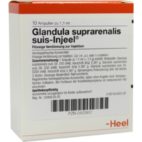 GLANDULA SUPRARENALIS suis Injeel Ampullen